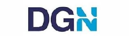 DGN AUTO PARTS