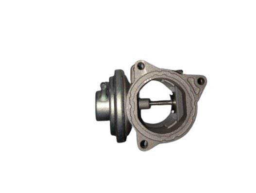 EGR VALFI BLS BXE BKC BKP BWV BVE CBAB VW PASSAT POLO JETTA GOLF FABIA OCTAVIA SUPERB IBIZA LEON 1.9 2.0 TDI 2000>