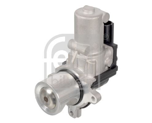 EGR VALF VW