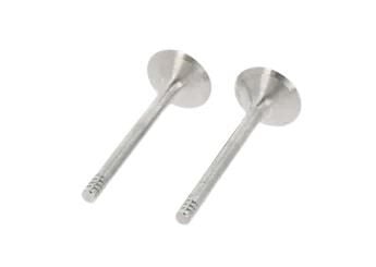 SUPAP TAKIM 8MM AGR-ALH-AFN-AVG-ASV-AXG-AHY-AUF-AYC1,9 TDI 1Z VW PASSAT
