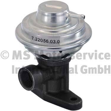 EGR VALF VW