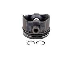 PİSTON SEKMAN (81.0MM) VW ADR/AGN/APT06-50290081mm 20P